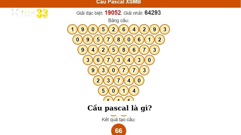 Cầu pascal là gì?