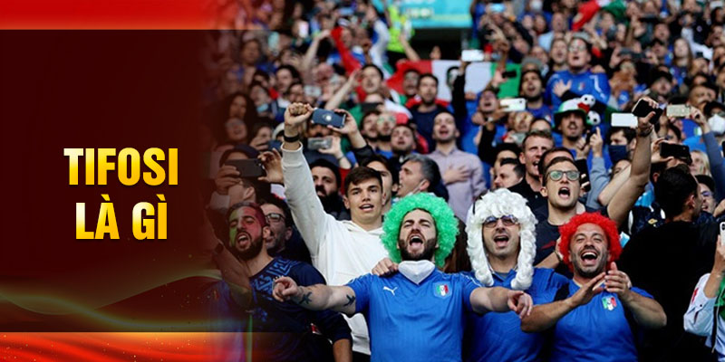 Tifosi là gì