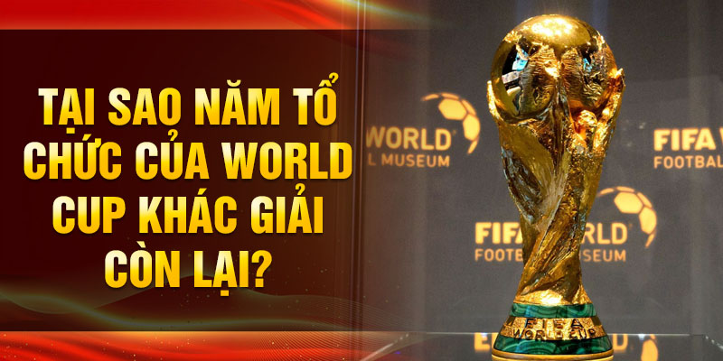 Tại sao năm tổ chức của world cup khác giải còn lại?